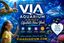 VIA Aquarium Review: A Rainy Day Surprise