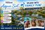 Hilton Aqua Sol Resort Review: The Best Place to Stay in Florida